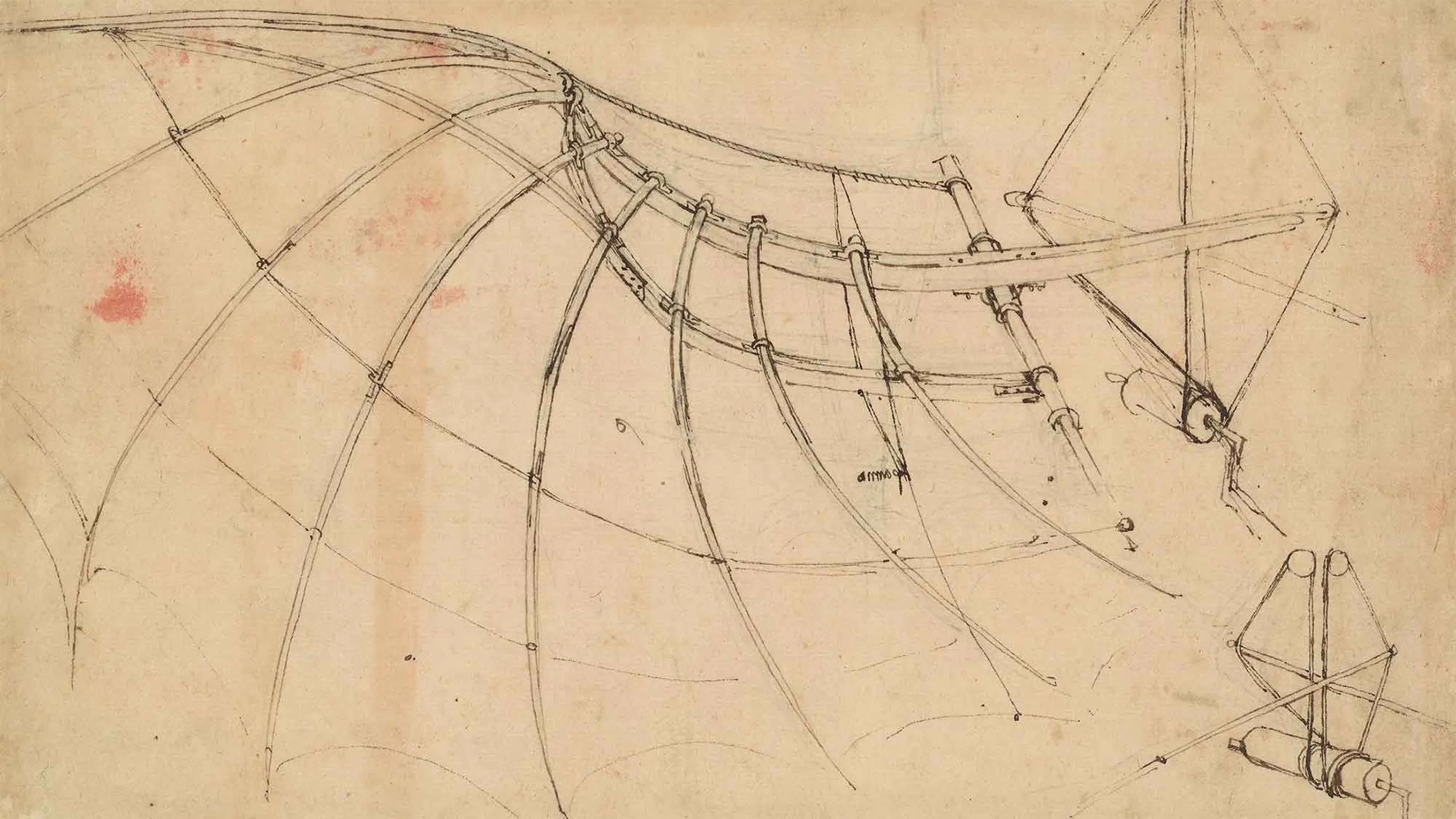 Sepia-toned reproduction of a Renaissance mechanical wing study associated with Leonardo da Vinci, showing structural lines and joints across aged paper.